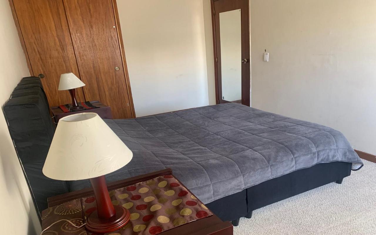 Polo Hostel Boutique Bogotá Dış mekan fotoğraf